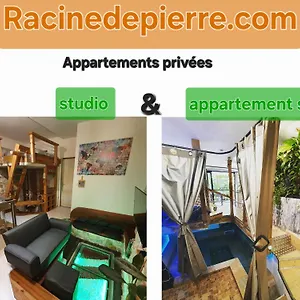 https://racine-de-pierre-castres-tarn.midi-pyreneeshotels.com